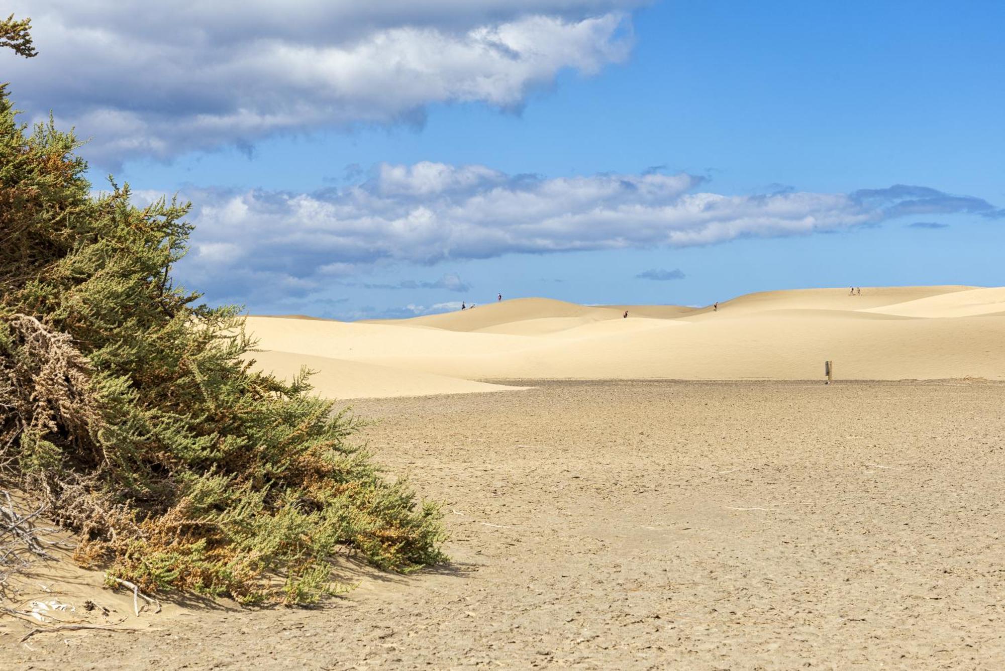 פלאייה דל אינגלז Smartr Maspalomas Corinto מראה חיצוני תמונה